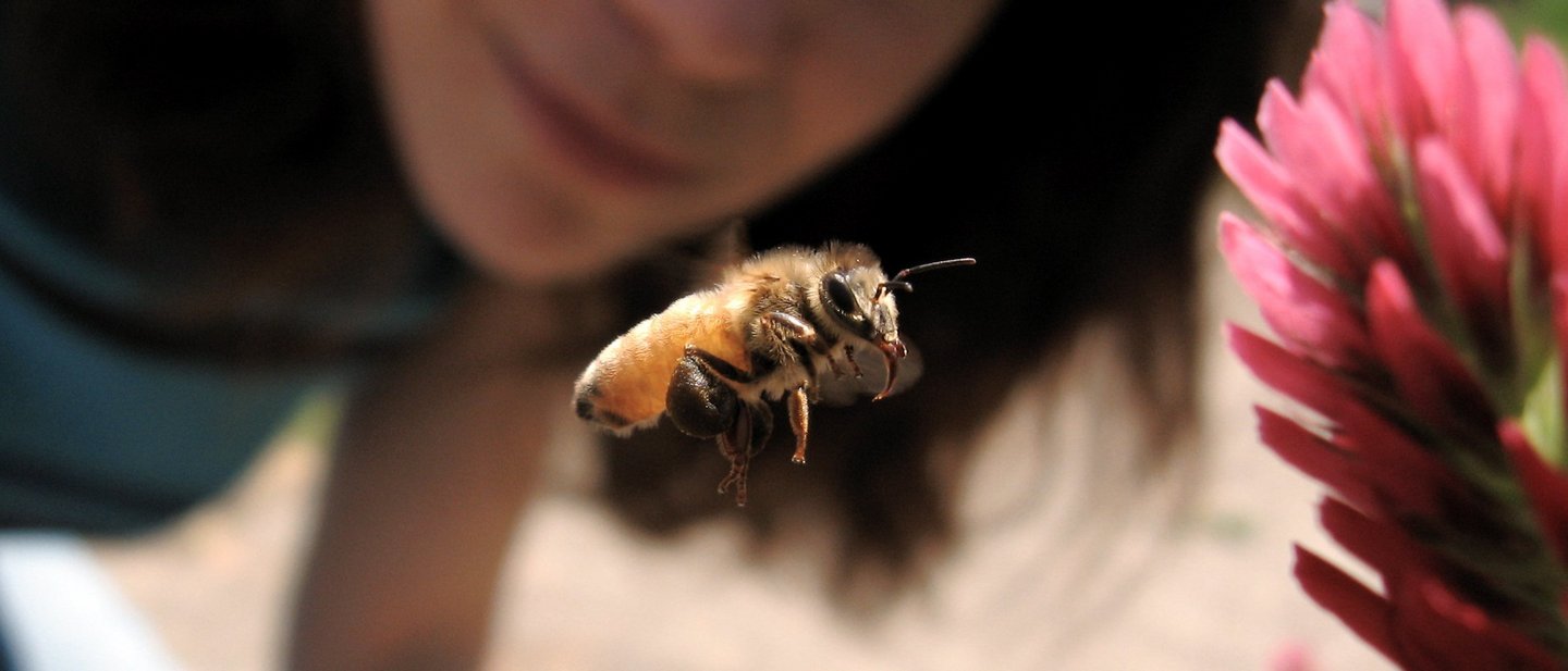 A woman looking at a bee