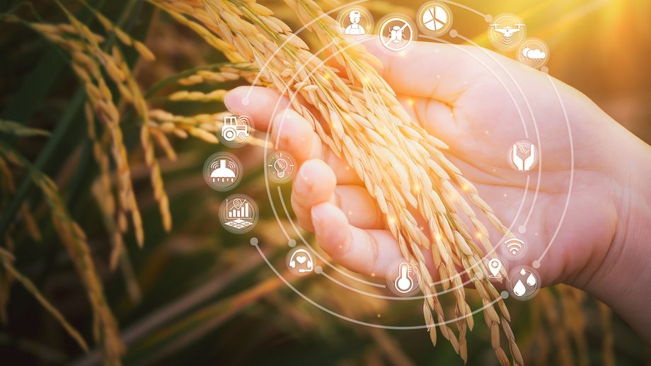 Technology concept of agritech