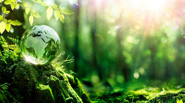 A globe made of glass placed outside in nature