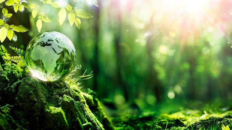 A globe made of glass placed outside in nature