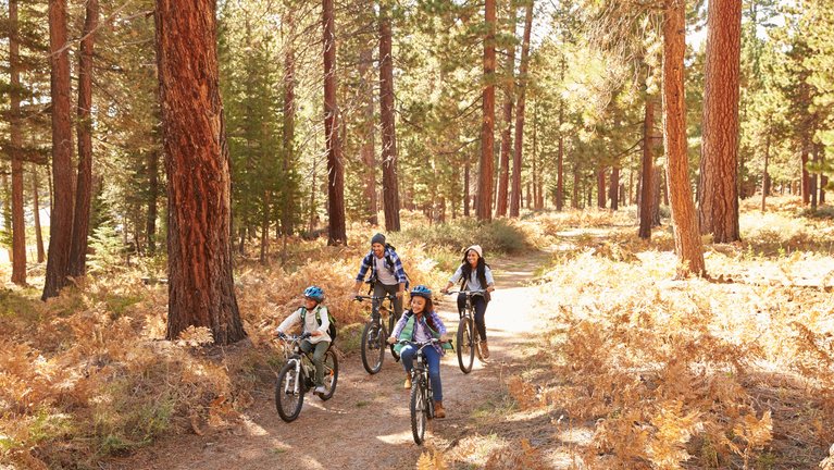  Family rides bicycles through autumn forest
