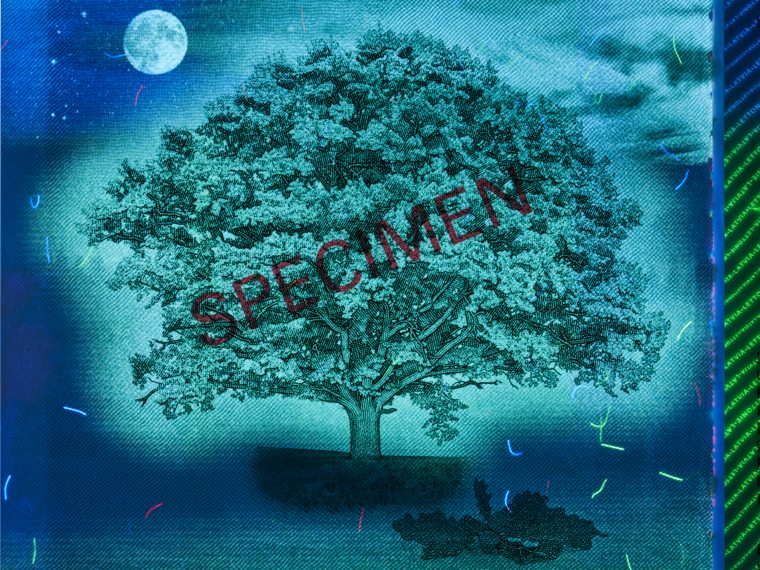 UV Light Picture of Tree at night from the Latvian Passport