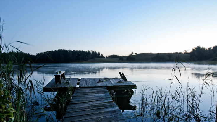 A wooden dock over a still lake with reeds, under a blue evening sky.